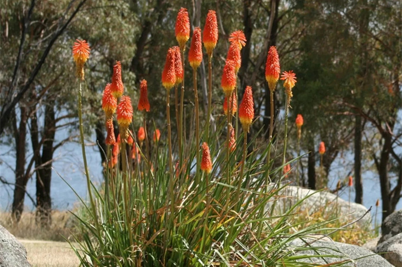 1636964154108183.jpg 6.webp.jpg