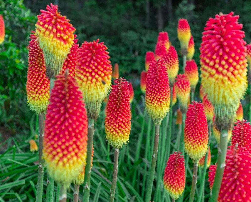 1636964165318895.jpg 7.webp.jpg