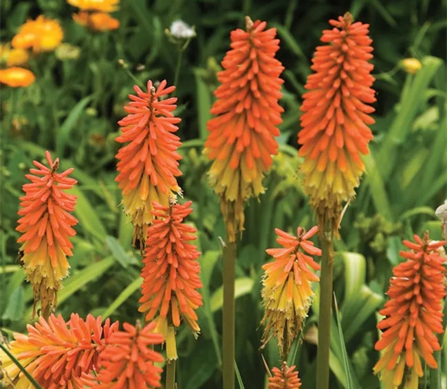 1636964205364105.jpg 8.webp.jpg