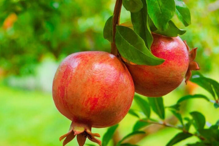 1686321395781377.jpg f8eead6b8f89447aff5176d7e1a50b17_1686321100917418.jpg