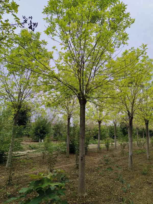 1732946727746641.jpg IMG_20230922_161804.jpg