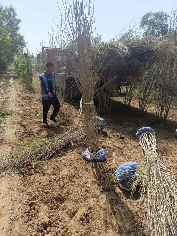 1733452388332273.jpg IMG_20220925_115841.jpg