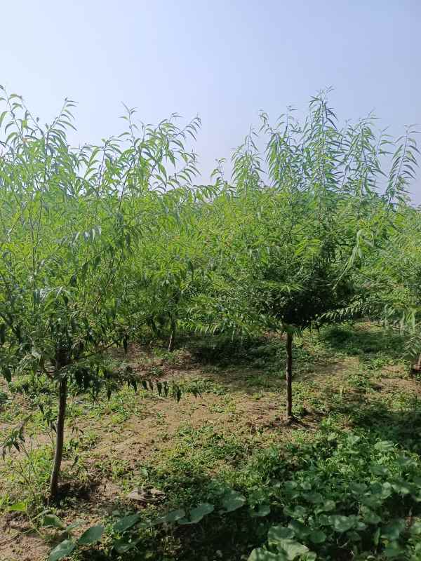 1733810072530622.jpg IMG_20220904_150735.jpg